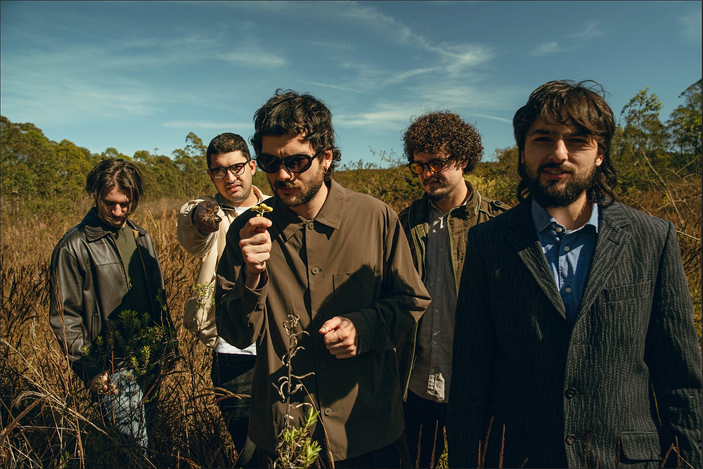 Daparte Inova com Estratégia Baseada em Dados ao Lado da Algohits Daparte Inova com Estratégia Baseada em Dados ao Lado da Algohits