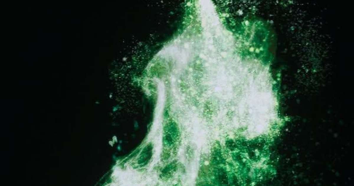 Rock in Rio 2026 Apresenta ECCO by LightWire: Um Espetáculo Sensorial Inesquecível