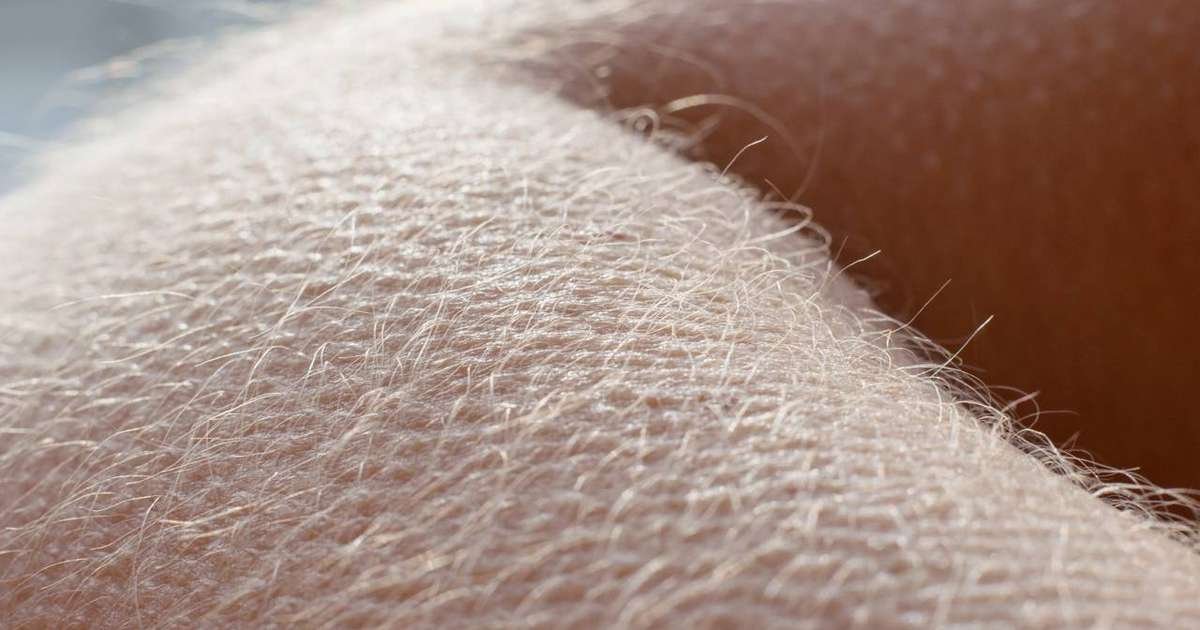 A Ciência do Arrepio: Entendendo a Piloereção e Suas Emoções