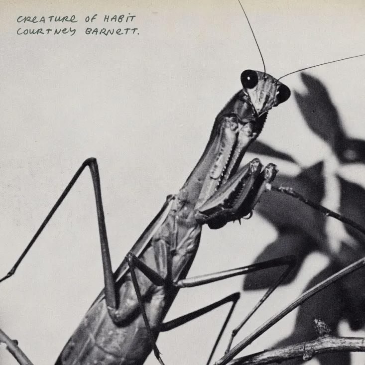 Crítica | Courtney Barnett: “Creature of Habit”