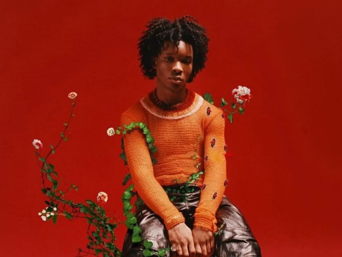 Polícia encontra pornografia infantil no iCloud de D4vd, cantor estourado no TikTok