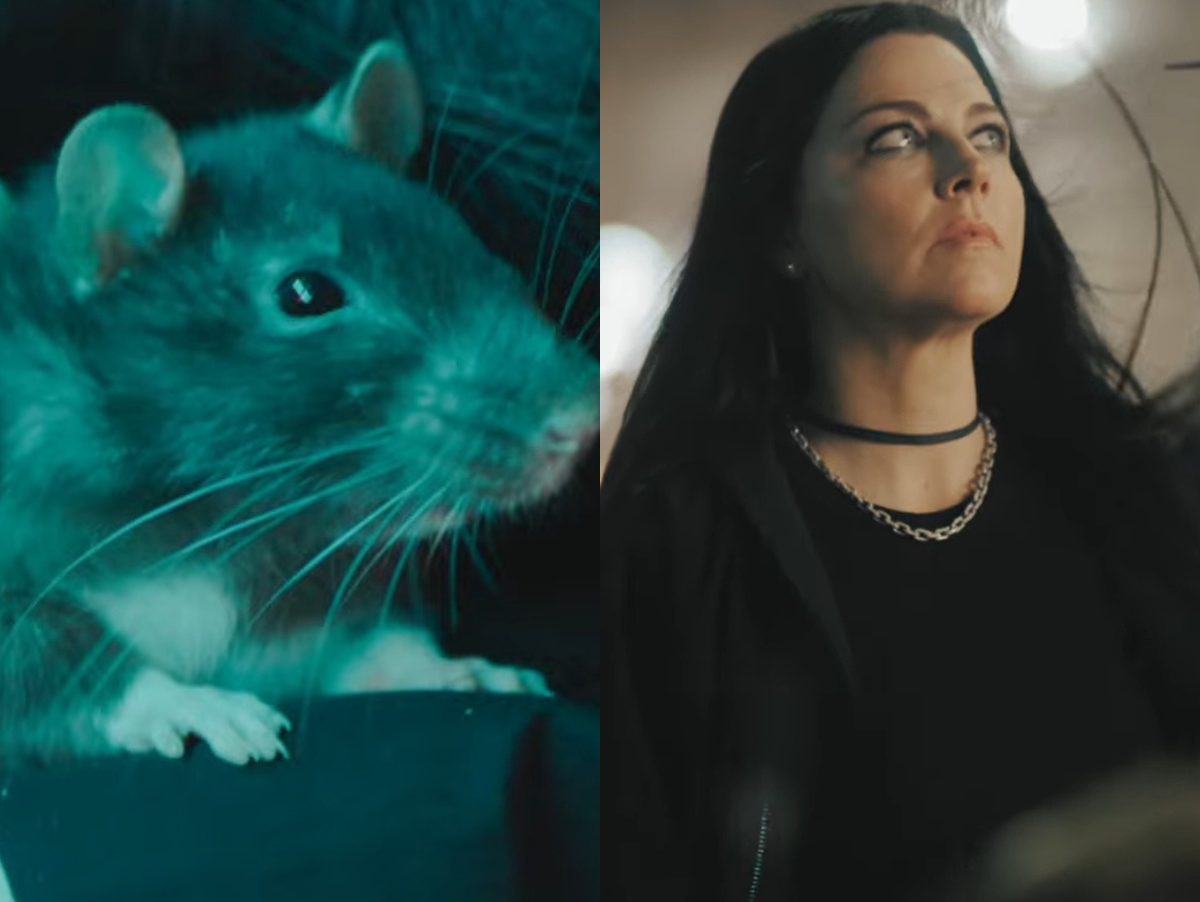 Bastidores Caóticos do Novo Clipe do Evanescence com Ratos Treinados Bastidores Caóticos do Novo Clipe do Evanescence com Ratos Treinados